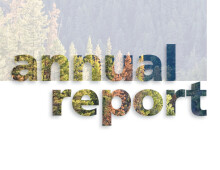 Forest Fuel Management Working Group Annual Report